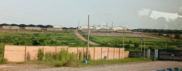 Wetlands.jpg
